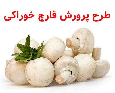 طرح پرورش قارچ خوراکی